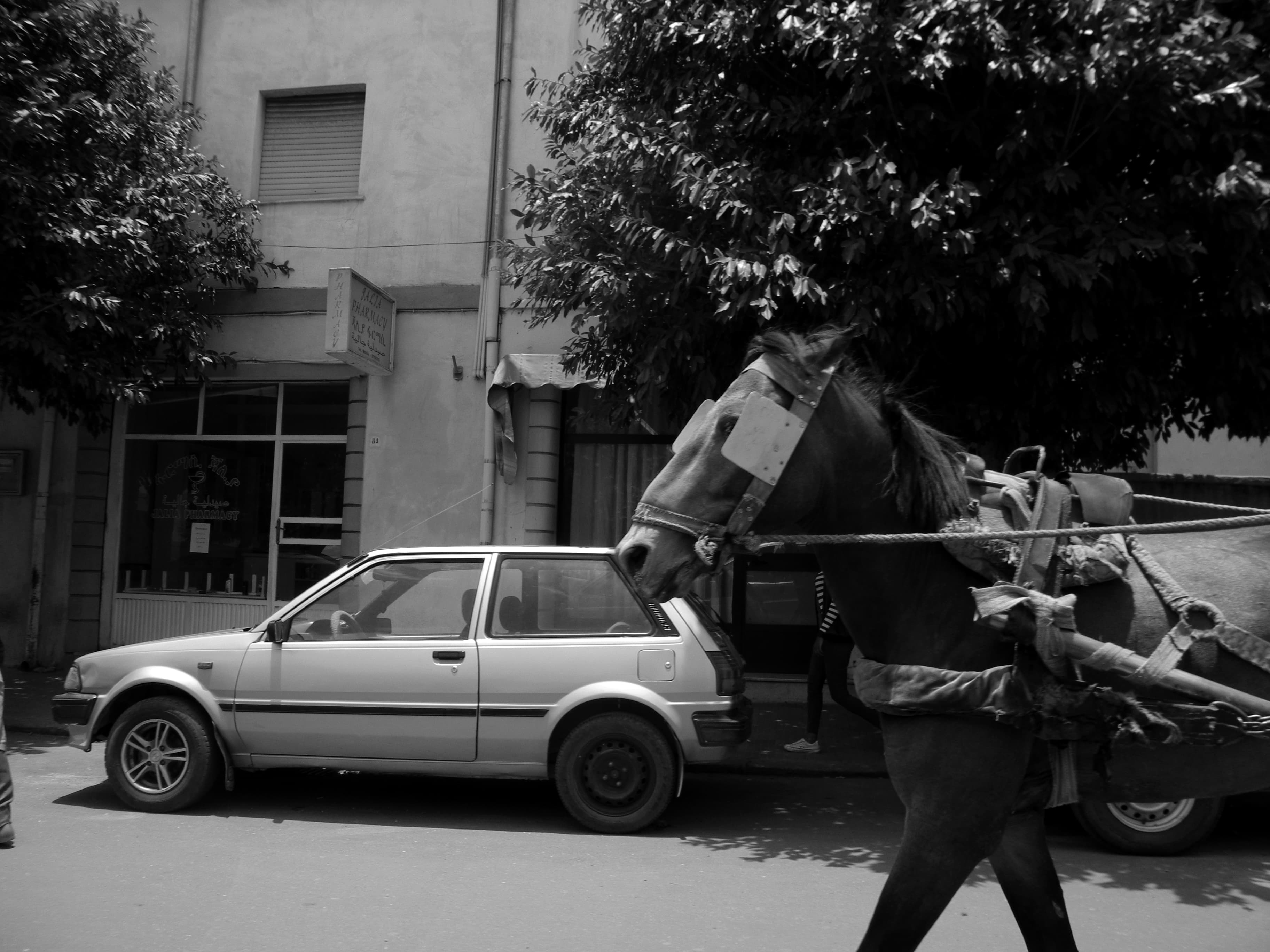 Photography 22