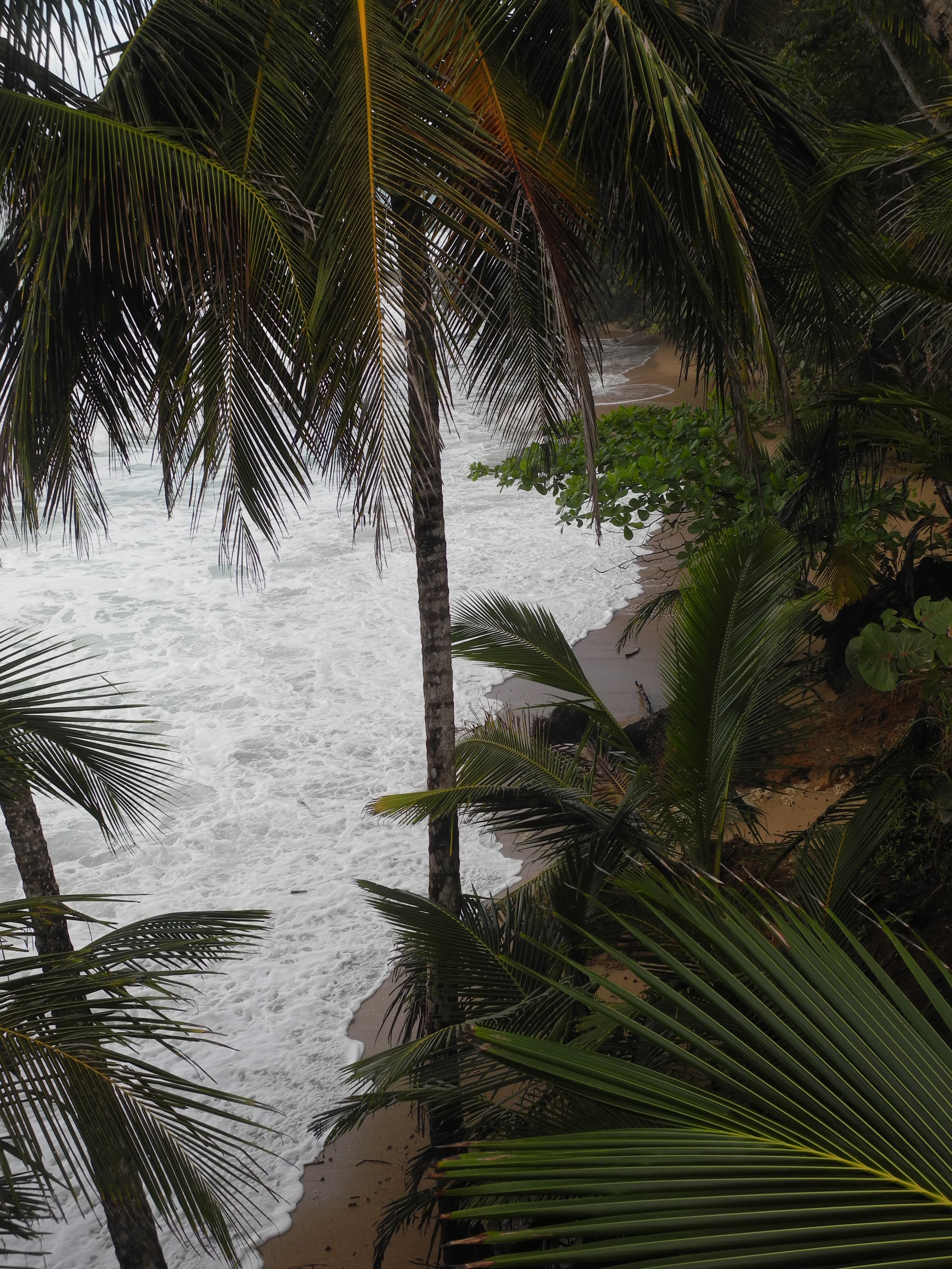 Photography 4